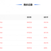 近50元/噸、溢價率393% 浙江民企競得一宗砂石礦